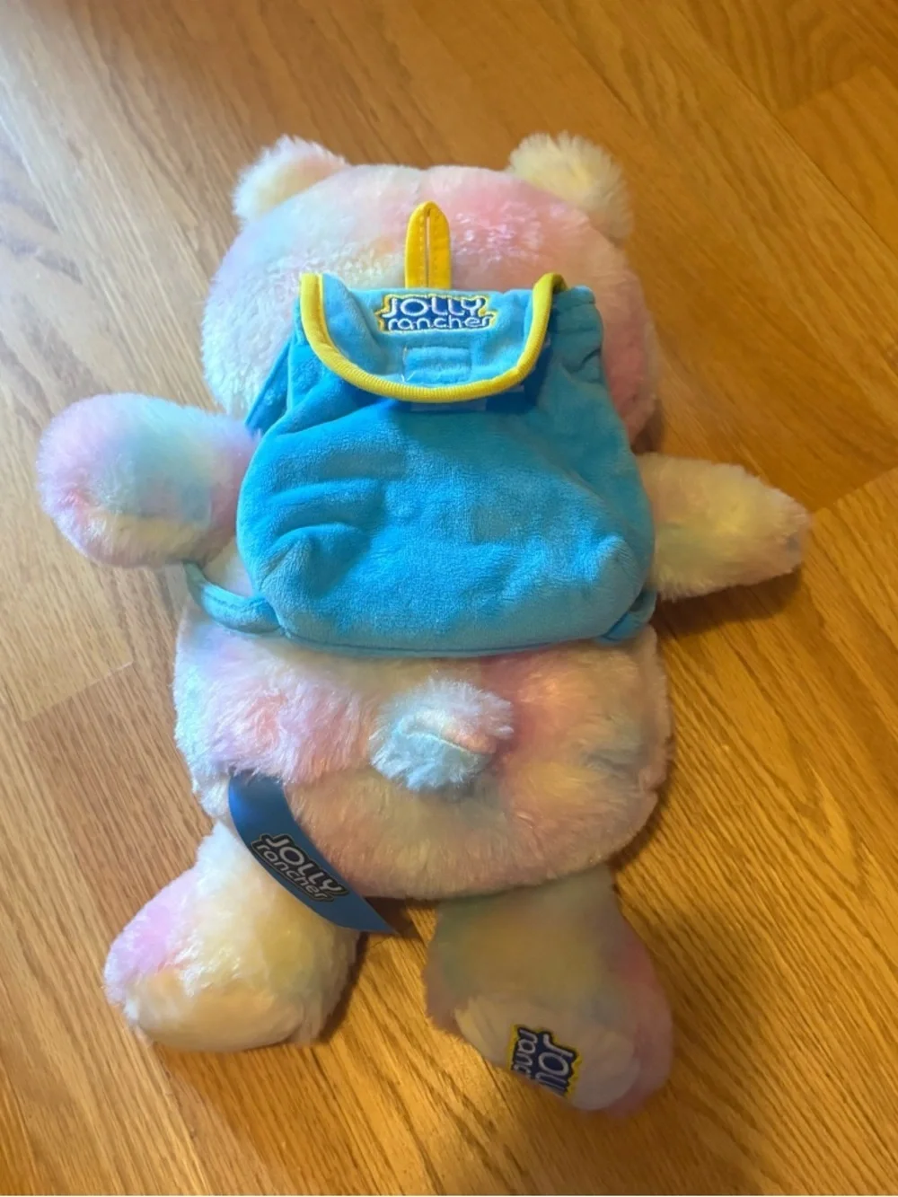 Jolly Rancher Pastel Rainbow Plush Bear with Blue Book Bag Scarf Backpack